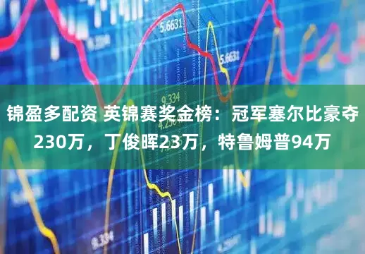 锦盈多配资 英锦赛奖金榜：冠军塞尔比豪夺230万，丁俊晖23万，特鲁姆普94万