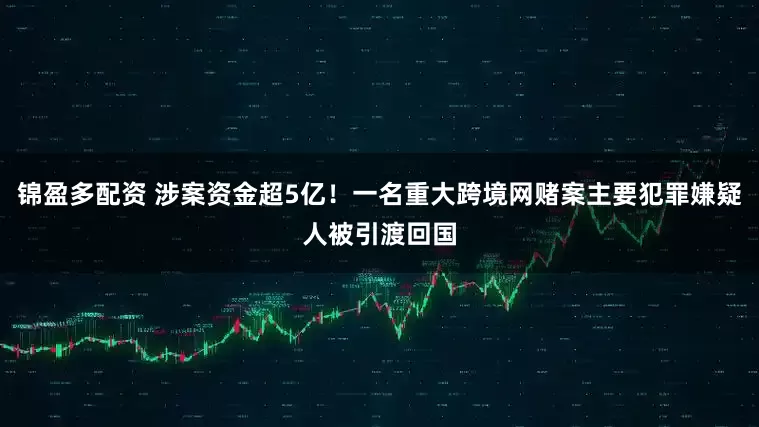 锦盈多配资 涉案资金超5亿！一名重大跨境网赌案主要犯罪嫌疑人被引渡回国